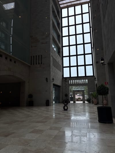 The image captures an interior space with notable architectural features. A large grid-patterned skylight is visible, allowing natural light to filter into the building. The walls are constructed from light-colored stone blocks, and a wide hallway extends into the distance, lined with potted plants and geometric art installations. The floor is tiled with a similar stone pattern. The location is Ciudad López Mateos, Mexico. There are no people visible.