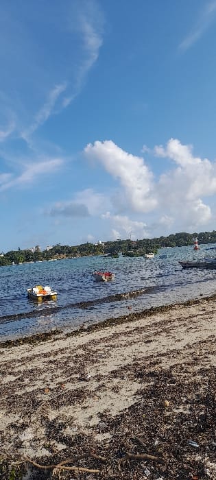 This is a vertical photographic image of a coastal area within Shimo La Tewa ward, Kenya, captured under a predominantly clear blue sky featuring scattered white cumulus and cirrus clouds. The lower third of the frame shows a light brown sand beach heavily intermixed with dark brown dried seaweed, organic debris, and broken tree branches. The water, occupying the mid-ground, displays darker, shallower areas near the immediate shoreline transitioning to deeper blue. Two small vessels are present in the water: a yellow and white pedal boat, catamaran-style, positioned left of center; and a smaller red and white open boat to its right. Multiple additional white vessels are anchored further out towards the horizon. The distant background reveals a green landmass densely covered with vegetation, punctuated by several light-colored structures. A red and white striped navigational aid, possibly a small lighthouse or buoy, stands on the far right of the distant landmass. No human figures or active interactions are visible.