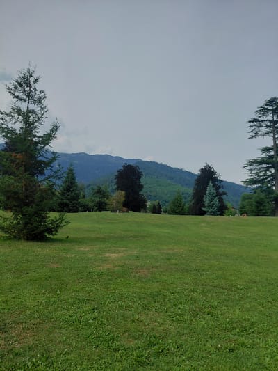 The image depicts a landscape with a large grassy area in the foreground and a forested mountain range in the background. The grass is well-maintained and appears to be a park or a golf course. Several trees are scattered across the landscape, some tall and thin, others more bushy. A small black bird is visible on the grass. The sky is overcast, suggesting it might be a cloudy day. The mountain range is covered in dense forest and a few structures are visible nestled amongst the trees. The overall scene evokes a sense of tranquility and natural beauty. There is no visible text in the image.