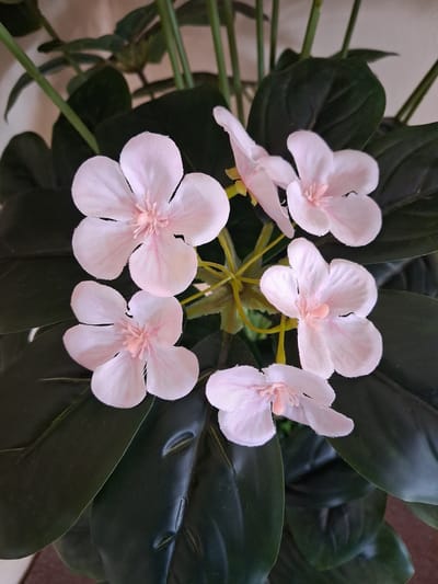 This image depicts a close-up view of artificial light pink flowers with visible stamens, set against a backdrop of dark green foliage. The flowers are arranged in a cluster, with five prominently displayed. The lighting suggests an indoor environment, possibly a home or a shop. The image's metadata does not contain information about its location in Bulungur, Uzbekistan, or any specific details about people or actions within the scene. The focus is solely on the artificial floral arrangement.