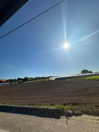 The photograph shows a field adjacent to a paved path in Gondomar, Portugal, taken under a bright midday sun. The field appears to be recently plowed, showing dark soil. A row of greenhouses lines the far side of the field. Adjacent to the path, there is a small strip of grass. A power line cuts across the lower left of the frame, partially obscured by a roof element. The sky is clear blue.