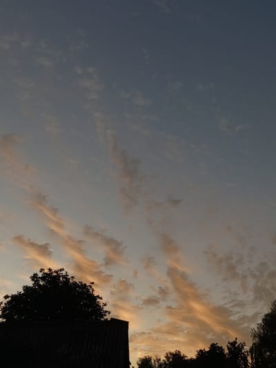 The image captures a sky at dusk over Голубинское сельское поселение, Ukraine. The sky is a gradient of dusky blue and gray, with streaks of pale orange and pink clouds indicating the setting sun. Silhouetted against this backdrop are the dark outlines of trees and a portion of a building's roof in the foreground. The building appears to have a corrugated roof. The overall atmosphere is calm and serene, typical of an evening scene. No people are visible in the image.
