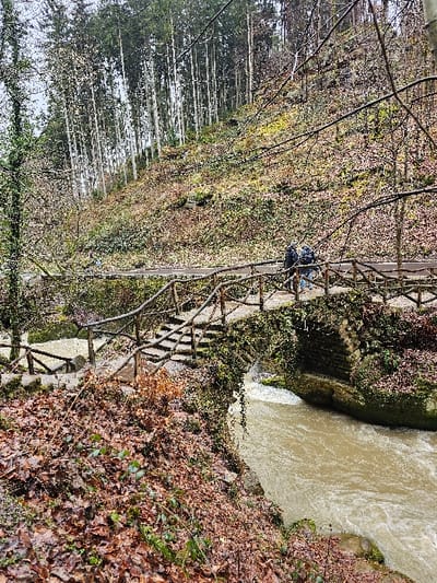 The image depicts a natural outdoor scene in Waldbillig, Luxembourg, characterized by a river, a bridge, and a forested hillside under an overcast sky.

In the mid-ground, two individuals are observed walking from left to right across a rustic bridge structure. Both individuals are wearing dark, possibly insulated, clothing and appear to be carrying backpacks. Their facial features are not discernible. The bridge consists of a stone arch spanning a turbulent, brown, fast-flowing river. The bridge and an adjacent elevated path are equipped with handrails constructed from interwoven branches and small logs. Steps made of stone lead up to the bridge from the left side of the frame. Moss and ivy are present on the stone bridge structure and surrounding rocks.

The immediate foreground on the left is covered with a thick layer of fallen, dry, reddish-brown leaves, interspersed with some green ground cover. The river flows from the right side of the image towards the left, under the bridge arch, revealing visible turbulence.

Rising steeply in the background is a hillside densely covered with vegetation. The predominant features are numerous tall, slender deciduous trees with light-colored trunks, largely devoid of leaves, indicating late autumn or early winter. Interspersed among these are some darker evergreen trees. The ground cover on the hillside consists of a mix of brown and dull green foliage. The sky, visible at the top, is uniformly light grey and overcast.
