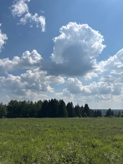 The image depicts a vast, sunlit meadow in Малая, Russia, bordered by a dense, dark forest. The sky is a brilliant blue, punctuated by a dramatic formation of large, billowing white cumulus clouds. In the foreground, the meadow is a tapestry of green grass and wild flowers. The trees in the background are tall and evergreen, forming a dark, solid line against the horizon. The overall impression is one of natural beauty and tranquility on a bright, clear day. There are no people, animals, or man-made structures visible in the frame.