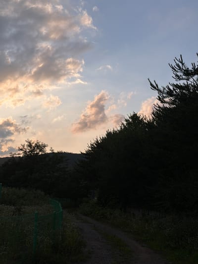 The image depicts a rural landscape in Pocheon-si, South Korea, likely at dusk. A dirt path winds through overgrown vegetation and is bordered by a green fence on the left. Dense trees, silhouetted against a pale sky, dominate the right side of the frame and the background. The sky itself is a gradient of blue, with wispy clouds tinged with the warm hues of sunset. The overall impression is one of tranquility and natural beauty.