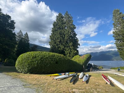 The image depicts a sunny day with a partly cloudy sky over a body of water and mountains in the distance, likely within the District of North Vancouver, Canada, given the natural landscape. In the foreground, several kayaks and canoes are neatly arranged on dry grass. A prominent feature is a meticulously sculpted hedge in the shape of a whale. Behind the hedge, a paved pathway leads towards the water, where a few distant boats are visible. Trees line the background, with a mix of evergreens and deciduous trees. The overall scene suggests a park or recreational area near the waterfront. No people are explicitly visible in the immediate foreground, though a bicycle is parked near the pathway in the mid-ground. The lighting indicates it is daytime, with shadows cast by the trees and the hedge.