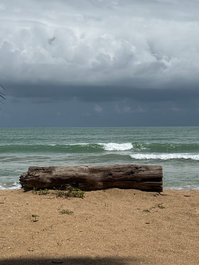 A wide-angle, eye-level shot depicts a tranquil beach scene in Ban Khuk Khak, Thailand. A large, weathered log rests horizontally on the tan sand in the foreground. The ocean stretches out behind the log, its turquoise water rippling with gentle white-capped waves. A dramatic, dark gray cloud bank hangs low in the sky, obscuring the sun and casting a somber mood over the scene. The beach is sparsely vegetated, with a few small green plants growing near the log and a single seedling sprouting in the sand. The overall atmosphere is one of natural beauty and impending weather change.