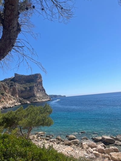 The image shows a coastline with clear blue water meeting a rocky shore. A large cliff face dominates the scene, covered with vegetation. The sky is a bright blue, and some branches of trees are visible in the foreground. The location is likely in el Poble Nou de Benitatxell / Benitachell, Spain, given the coastal landscape typical of the region.