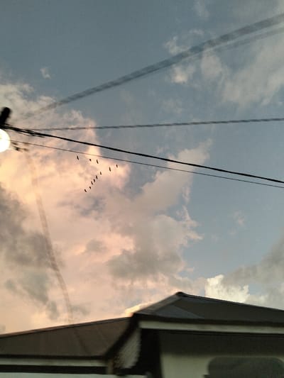 The scene is set in the city of Panton, Indonesia, depicting an outdoor environment at twilight with a partly cloudy sky. The upper portion of the frame shows a gradient sky, transitioning from light blue in the upper right to pale orange-pink in the mid-left, with scattered white and grey clouds. Approximately eleven (11) dark-silhouetted birds are in flight, arranged in a V-formation, positioned in the mid-left section of the sky. Multiple dark utility wires traverse the sky horizontally and diagonally. A bright, circular, illuminated street lamp, attached to a dark pole, is prominent on the far left edge of the image. The dark, angled roofline of a building, featuring dark grey or black material with white trim below the eaves, occupies the lower right quadrant. A faint, wide diagonal line, consistent with a reflection or a distant contrail, is visible in the upper sky. No human figures are present.