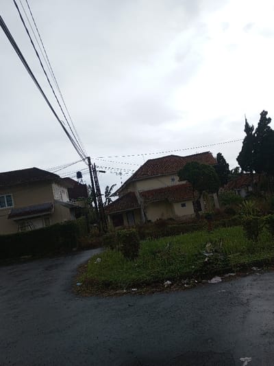 The image presents an overcast, residential street scene, likely in a rural or semi-urban area. The foreground features a dark asphalt road, appearing damp, that curves gently to the left. Patches of overgrown grass and bushes with some scattered litter line both sides of the road.
Several houses are visible, characterized by their prominent red or terracotta tiled roofs and light-colored (possibly beige or cream) walls. To the left, a house with white-framed windows is partially obscured by a well-maintained green hedge. In the midground, a utility pole with numerous black power lines stretches across the frame, leading towards the houses. A large house with a complex, multi-tiered tiled roof stands out in the center-right, surrounded by dense greenery and trees. Smaller structures and parts of other houses can be seen further back, nestled amidst abundant vegetation, including trees with broad leaves, possibly banana trees, and tall, dark, spire-like trees on the far right.
The sky is completely overcast with light gray clouds, indicating a cloudy daytime setting without direct sunlight. The overall atmosphere is quiet and still, as there are no people or visible activities taking place. The architectural style, the type of vegetation, and the presence of utility infrastructure are consistent with a residential area in a tropical or subtropical region, aligning with the provided location context of Amaldiha, India. No visible text is present in the image.