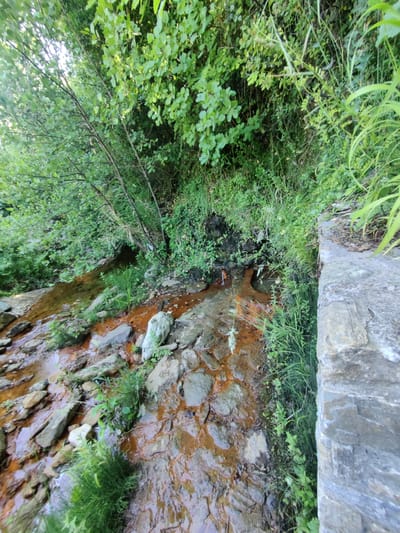 The image shows a small stream flowing over reddish-brown rocks and through dense green vegetation. The stream bed is rocky, with some larger stones interspersed with smaller pebbles. The water appears to have a reddish tint, possibly due to iron content. Lush green foliage, including trees and undergrowth, surrounds the stream. On the right side of the image, a rough stone wall or embankment runs alongside the stream. The scene appears to be a natural, outdoor environment, possibly a rural or forested area within the Municipal Unit of Evryménon, Greece. There are no people or animals visible in the image. The lighting suggests it is daytime, with sunlight filtering through the leaves of the trees. The overall impression is one of a serene, natural landscape.
