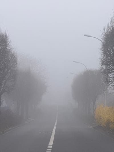 The image depicts a straight, asphalt road extending into dense fog, located in Fontenay-sous-Bois, France. A continuous white dashed line marks the center of the road, receding into the obscured distance. The road is flanked on both sides by rows of bare deciduous trees, their branches visible in the immediate foreground and becoming increasingly indistinct further into the fog. Several streetlights with curved arms are present on the right side of the road, partially obscured by the fog. On the immediate right, a vibrant patch of yellow flowering shrubs stands out against the muted tones of the environment. Faint outlines of structures or buildings are barely discernible through the fog on the left side of the road. No individuals, vehicles, or discernible actions are present in the scene, which is characterized by extremely low visibility due to the heavy fog.
