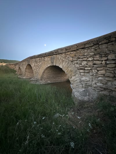 The image depicts a stone aqueduct in Filipeni, Moldova, likely captured during the day with a clear sky. The aqueduct, constructed from rough-hewn stones, features multiple arches that support its structure. Tall green grass and small white wildflowers grow along the base of the aqueduct and the surrounding embankment, suggesting a rural or natural setting. The perspective of the image is unusual, with the ground appearing to be on the right side and the sky on the left, giving the impression that the photo has been rotated 90 degrees clockwise. A faint, circular object, possibly the moon or a distant light source, is visible in the sky. The overall impression is one of historical architecture set within a natural landscape. There is no visible text in the image.