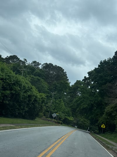 The image depicts a road with double yellow lines running through the middle. The road is bordered by trees and vegetation on both sides. A yellow pedestrian crossing sign is visible on the right side of the road. The sky is overcast with gray clouds. The location is in a wooded area in the city of Mountain Park, United States of America. Utility poles are visible among the trees. The road surface appears wet.