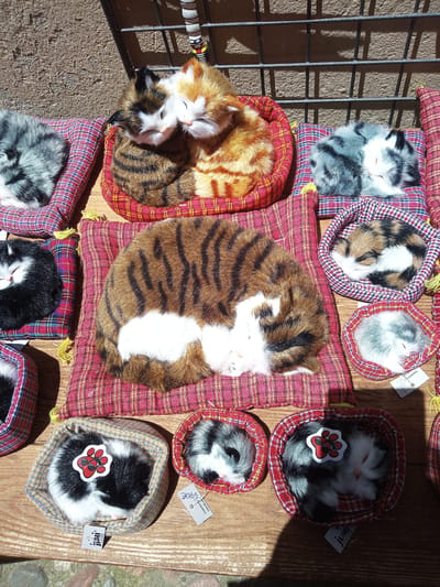 The image displays a collection of plush toy cats arranged on a wooden surface, possibly a market stall or shop. The cats are in various sleeping positions, some nestled in small fabric beds with plaid patterns. Several cats are ginger and white, black and white, or grey and white. One large plush cat with tabby markings is prominently featured in the center. In the background, a metal grate casts shadows. The overall impression is that of a display of novelty items. The context of Besalú, Spain, suggests this scene could be from a shop or market in that historic town, known for its medieval architecture.