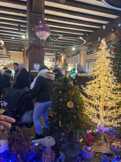 The image depicts an indoor or covered festive scene, likely a Christmas market or exhibition, located in Sélestat, France. The environment features exposed dark wooden ceiling beams and stone columns, characteristic of older architecture, contrasted with modern circular light fixtures suspended from the ceiling.

In the foreground, a detailed display includes blue ground lighting illuminating foliage, a textured piece of dark wood, and a light-colored wooden mushroom sculpture on a log base. A dark green artificial Christmas tree stands centrally, adorned with small red apples, pretzel-shaped ornaments, and subtle string lights. To its right, a tall, conical Christmas tree structure made of clear material is densely wrapped with warm white string lights. Further right, a potted poinsettia plant rests on a small wooden stump, surrounded by more blue lighting.

The midground is populated by multiple individuals dressed in winter attire. A woman in a dark jacket with a fur-lined hood and light blue jeans stands with her back partially to the viewer, next to a black baby stroller positioned to her left. Other individuals, mostly seen from behind or in profile, are observing the displays or walking through the space. One person wears a grey knitted hat, and another is partially visible in a dark jacket next to a man with grey hair. A large, red and white hot air balloon ornament, decorated with small baubles, is suspended from the ceiling near a stone column. A white heart-shaped sign is attached to a column.

In the background, more people are visible, indicating a crowded setting. Additional Christmas trees and decorations, including a stylized tree constructed from blue and green spheres, are present. The architectural elements of columns, beams, and circular light fixtures extend throughout the visible background. The overall illumination is provided by artificial lighting, suggesting an evening or night setting.