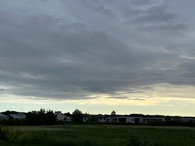 The image depicts a rural or suburban landscape near Harkujärve, Estonia. The sky is overcast with dramatic, layered clouds in shades of grey and white, with a subtle yellow glow on the horizon suggesting either dawn or dusk. Below the sky, a line of trees, some dark and silhouetted, others with visible foliage, forms a dense backdrop. Interspersed and behind these trees are several modern houses with light-colored roofs and facades. In the foreground, a field of tall green grass and wildflowers stretches across the bottom of the frame, with darker green vegetation on the far left. A single dark-colored car is visible on a road behind the field and to the left of the houses. No people are present in the image.