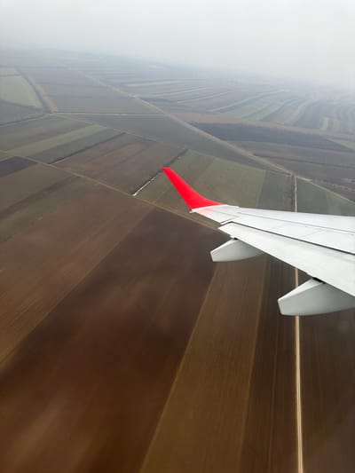 An aerial photograph captures an agricultural landscape near Fischamend, Austria, viewed from the right wing of a commercial airliner. The aircraft's silver-grey wing, featuring a prominent red wingtip (winglet), extends diagonally from the lower right toward the mid-left of the frame. Below the wing and receding into the distance, a vast expanse of organized agricultural fields is visible. These fields primarily exhibit shades of brown earth, indicative of fallow or tilled land, with some sections displaying strips of lighter green vegetation or ground cover. The landscape is segmented by numerous narrow, linear features, which appear to be unpaved farm roads, field boundaries, or irrigation channels. The sky is uniformly overcast and hazy, obscuring the distant horizon and creating a muted, low-contrast environment. No individuals, active subjects, or specific interactions are discernible within the scene.