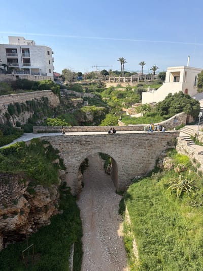 The image captures a high-angle, slightly tilted view of a stone bridge in Polignano a Mare, Italy. The bridge, constructed of light-colored stones, spans a dry riverbed filled with gravel. The stone sides of the bridge are covered in green vegetation. People are seen walking and sitting on the bridge. On either side of the bridge, the landscape consists of stone walls, buildings, palm trees and various plants. The sky is clear and blue. In the background are buildings, construction equipment, and more of the town.