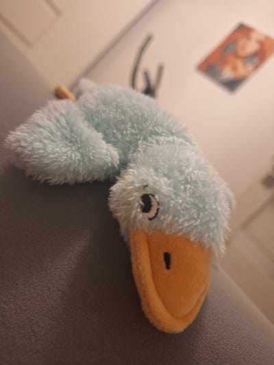 A fluffy, light blue plush duck toy with an orange beak lies on its side on a textured grey surface, likely a couch or armchair. The duck is positioned diagonally in the frame, with its head to the right and its body extending to the left. Its beak is a bright orange felt material, and it has a small, black embroidered eye and a slightly upturned mouth, giving it a gentle expression. The duck's body is covered in soft, light blue fur with strands that appear slightly disheveled, suggesting it's well-loved. A small, yellow stub, possibly a tail, is visible near the left side of the duck.
In the blurred background, a wall with a framed picture is visible. The picture appears to be a diamond-shaped print with two figures or faces in warm, reddish-orange tones against a darker background. To the left of the duck, some dark, thin objects are also faintly visible, possibly part of a toy or a piece of furniture. The lighting suggests an indoor setting, possibly in the late afternoon or evening, as the light appears to be artificial and casts subtle shadows. The overall mood is relaxed and domestic, with the focus entirely on the charming plush toy. There is no visible text in the image.