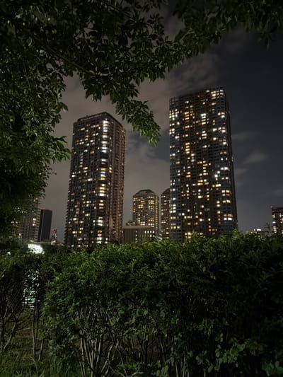 At night in Koto, Japan, an exterior, eye-level, medium shot captures the illuminated windows of several tall residential buildings. The buildings, dark structures against a cloudy, dimly lit sky, are arranged from left to right with decreasing height, and are partially obscured by the foliage of trees in the foreground and bushes in the middle ground. The closest building, to the left of center, is a broad, rectangular tower with many windows illuminated with a warm, yellow light. To its right and slightly behind it is a taller, narrower tower, also lit from within. Further to the right, another similarly illuminated tall building is visible, and behind these, more buildings are discernible. The foreground features a dense canopy of dark green leaves, with the lower portion of the image dominated by the shadowy forms of bushes and grass. The overall impression is of a quiet urban night scene viewed from a park or green space.