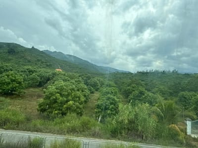 The image shows a lush, green landscape under a cloudy sky. In the foreground, there is a road with a metal fence along the side. Beyond the road, tall grasses and reeds grow, interspersed with trees and foliage. In the middle ground, the landscape rises into a rolling hill covered with dense green trees, likely an orchard or plantation. A small, orange-roofed building is visible nestled amongst the trees on the hillside. In the background, further hills recede into the distance, also covered in vegetation. The sky is overcast with dramatic, grey clouds, suggesting impending rain or a recent downpour. The overall impression is of a rural, tropical environment. The presence of power lines stretching across the distant hills and the type of vegetation suggest this location may be within or near Suối Tân, Vietnam, an area known for its agricultural landscapes. There are no people visible in the image.