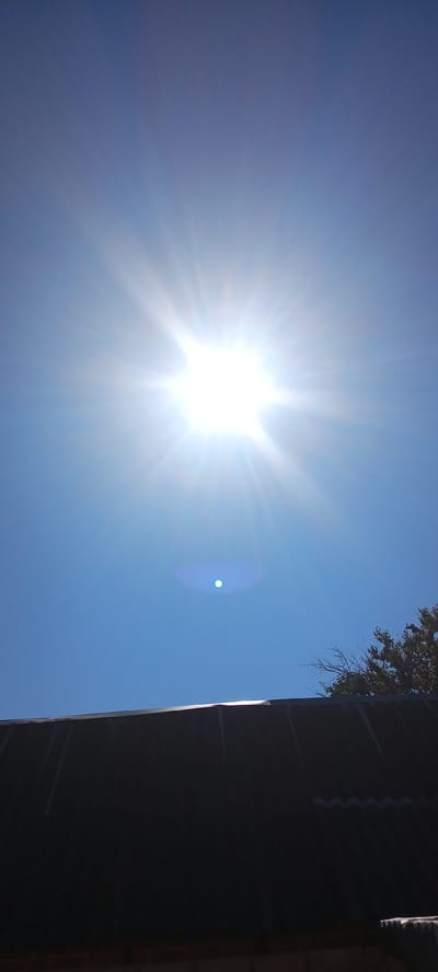 The image captures a bright sun with prominent rays shining in a clear blue sky. In the foreground, a dark, corrugated roof runs across the bottom of the frame. A small, bright blue lens flare is visible in the sky to the left of the sun. To the upper right, the branches of a tree with green foliage are silhouetted against the sky. The scene appears to be outdoors in an urban or semi-urban environment, likely in Tbilisskaya, Russia, given the context. There are no people or animals visible. The overall impression is of a sunny day with a clear sky.