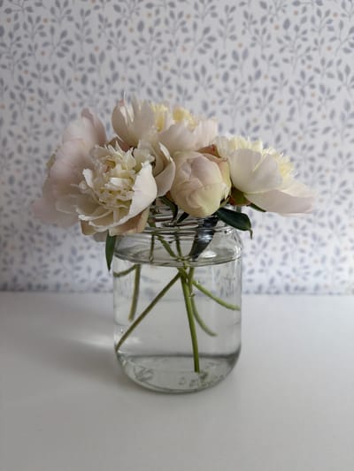 A still life photograph depicts a glass jar filled with clear water and several pale pink and white peonies. The jar sits on a white surface against a backdrop of light-colored wallpaper featuring a subtle floral pattern of grey leaves and small orange dots. The lighting appears soft, casting a gentle shadow of the jar and flowers to the left. There are no people or animals present, and no discernable context of a specific location in the city of Фролы, Russia. The scene is static and focused on the arrangement of the flowers in the jar.