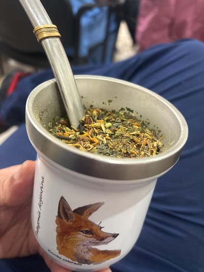 A person's left hand holds a white cylindrical mate gourd with a silver-colored metal rim. The gourd displays a watercolor-style illustration of a red fox, identified as "Zorrito Colorado," with the text "Patagonia Argentina" printed vertically. The gourd is filled with a dry, coarse herbal mixture, predominantly green and brown, containing visible plant fragments, leaves, and stems, consistent with yerba mate. A silver-toned metal bombilla, featuring a decorative golden-colored ring, is inserted into the herbs. The background is out of focus, showing dark blue fabric, likely clothing or upholstery, and indistinct blurred shapes, indicating an indoor environment. This scene is located in the city of Adrogué, Argentina.