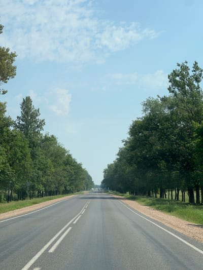 The image depicts a straight, paved road in a rural setting. The road has a white double line painted down its center, indicating it is likely a two-way street. On the left side of the road, a dense line of mature green trees forms a natural canopy, creating a shaded tunnel effect. Beyond the trees on the left, the sky is a clear blue with scattered white, wispy clouds. On the right side of the road, a gravel shoulder transitions to more green grass and then another line of trees, similar to those on the left. The perspective suggests the photo was taken from a moving vehicle, looking forward. A few distant vehicles are visible on the road ahead. The overall impression is one of a peaceful, scenic drive through a tree-lined avenue. The lighting suggests it is daytime, likely midday given the bright sky. The presence of lush green foliage indicates a warm season, possibly summer. The location context points to the Chyzhewitski Village Council in Belarus.