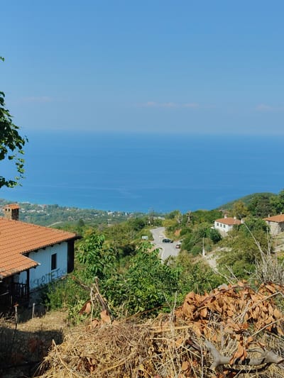 The image shows a panoramic view from a hillside overlooking the Aegean Sea in Palaios Panteleimonas, Greece. In the foreground, there are dry, brown grasses and fallen leaves, with a hint of green foliage from a vine on the left. Two houses with terracotta tile roofs are visible on the hillside. The house on the left is partially white with a dark-framed window and wooden railings on a porch. Graffiti is visible on the white wall of this house. The house on the right is partially stone-built with white walls and a terracotta roof. A winding road with two cars, one black and one orange, travels through the lush green hillside dotted with more houses. The middle ground features a dense forest of green trees and vegetation. The background is dominated by the vast expanse of the deep blue Aegean Sea, with a faint line of land and possibly smaller settlements visible in the distance along the coast. The sky is clear and bright blue.
