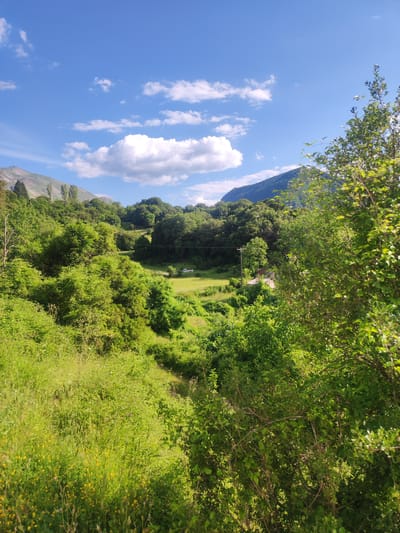 The image depicts a verdant, hilly landscape under a bright blue sky dotted with white, fluffy clouds. The foreground is dominated by lush green foliage, including tall grass and various bushes, some with small yellow wildflowers. In the middle ground, a gentle slope leads to a clearing with a patch of green grass, where a white vehicle is visible. Beyond the clearing, a dense forest of trees covers the undulating terrain, with a few tall, slender trees standing out. A power pole is also visible among the trees. In the background, a majestic mountain range forms the horizon, its slopes covered in a mix of trees and lighter, possibly rocky, terrain. The overall scene suggests a rural or natural setting, possibly in the Egnatia Municipal Unit of Greece, characterized by its abundant greenery and mountainous backdrop under a clear, sunny sky.