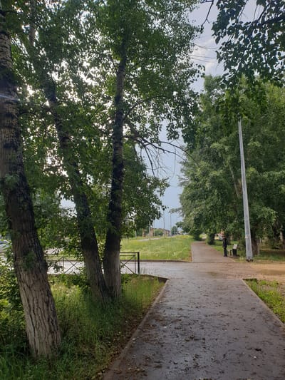 The image depicts a paved pathway in a park-like setting in Ust-Ordynsky, Russia. Three large trees with textured bark stand prominently in the foreground on the left, their branches and green leaves obscuring parts of the bright, overcast sky. The pathway, wet and littered with debris, curves to the right and extends into the background. Along the pathway, a bench and a single standing individual in dark clothing are visible. Dense green foliage borders the path and extends to a grassy area on the left, separated by a black metal fence. The background reveals more trees, streetlights, and buildings. The scene appears to be an outdoor public space.