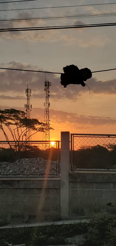The image depicts a landscape at sunset in what may be El Papelón, Venezuela. In the foreground, power lines run horizontally across the upper portion of the frame, with a dark, amorphous object, possibly a bird's nest, suspended from them. Two cell phone towers are silhouetted against the setting sun in the middle ground. The sun is partially obscured by trees and structures, casting rays of light through them. A fence and some vegetation are on the right, while a gravelly area is at the base of the towers. The sky is filled with orange and pink hues, characteristic of a sunset.