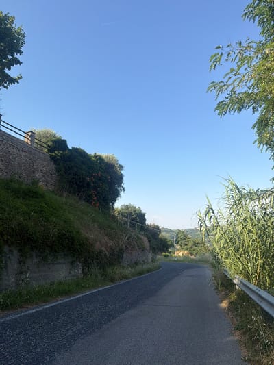 The image depicts a narrow, asphalt road curving through a rural landscape under a clear blue sky. On the left, a stone wall supports a steep, overgrown embankment covered in green vegetation and some orange flowers. Trees and more greenery are visible further up the slope. On the right side of the road, tall reeds or similar tall grasses grow, alongside a metal guardrail. In the distance, rolling hills dotted with trees and some structures can be seen. The scene suggests a sunny day in a Mediterranean climate. The presence of a faint contrail in the sky suggests an airplane overhead. The image does not contain any people or animals. The location is identified as Santo Stefano Belbo, Italy.