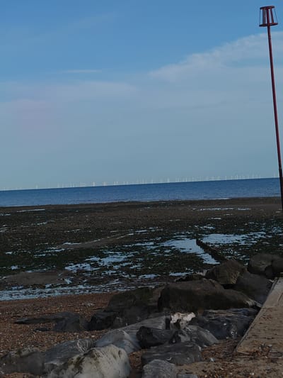 The image captures a serene coastal scene at Worthing, United Kingdom, likely during late afternoon or early evening, given the soft, diffused light. The horizon is dominated by a long line of wind turbines, indicating a substantial offshore wind farm. These turbines, appearing as slender white columns with rotational blades, are positioned on the horizon, their forms softened by distance and atmospheric haze.

The sea is a deep, tranquil blue, reflecting the clear sky. In the foreground, the seabed is exposed, revealing a rugged, pebbly shore interspersed with patches of dark, wet seaweed and shallow pools of water. Large, dark rocks are scattered across this intertidal zone, some partially submerged. Further in the foreground, a more defined shoreline of sand and smaller pebbles is visible, with a cluster of larger, rough-textured rocks and boulders. To the right, a concrete structure, possibly a walkway or part of a pier, extends into the frame, with its sandy surface also littered with pebbles.

A solitary red marker pole, topped with a red and white striped beacon, stands tall on the right side of the image, its post a stark contrast against the pale blue sky. The sky itself is a pale, washed-out blue, with subtle streaks of wispy clouds towards the top. No people or animals are visible in the scene, emphasizing the quiet, natural beauty of the coastal environment. The overall impression is one of a peaceful, windswept landscape where human infrastructure, represented by the wind turbines and the marker pole, coexists with the raw elements of the sea and shore.