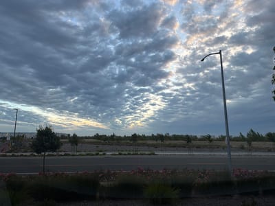 This media file captures an outdoor scene under a cloudy sky. The foreground features a dark, granular surface, possibly mulch or gravel, with a strip of green grass and scattered pink flowers. Beyond this is a paved road with yellow lane markers, suggesting a street or highway. In the middle ground, a row of young trees with slender trunks and bushy canopies is planted along a landscaped embankment. The embankment itself is covered with grey gravel and some dry grass. In the far distance, a large, long building with a light-colored facade and a row of lights along its roofline is visible, likely an industrial or commercial structure. To the right of the road, a tall, grey lamppost stands prominently. The sky above is filled with a textured pattern of dark grey and white clouds, with hints of yellow and blue light peeking through, suggesting either sunrise or sunset. The overall mood is tranquil and somewhat overcast. There is a sign on the lamppost with some text and a symbol, but it is too small and indistinct to be read. The lighting and cloud formations suggest it is either early morning or late evening. The presence of the road, landscaping, and large building hint at a developed area, possibly on the outskirts of a town or city in Sacramento, United States.