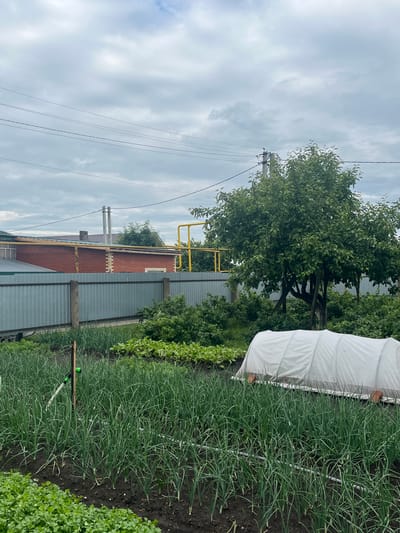 This is a vertical, outdoor, medium shot photograph taken in a rural setting in Bolshekukmor, Russia. The scene depicts a garden with rows of green onions growing in dark soil. To the left of the onion patch, a white fabric covers a structure, possibly a greenhouse or a crop cover. Behind the garden, a corrugated metal fence separates it from a red brick building with a yellow pipe running along its side. A large green tree with lush foliage stands behind the building and fence. Overhead, a utility pole with power lines stretches across the cloudy sky. The weather appears overcast, suggesting it might be a cloudy day. No people are visible, and no text is present in the image. The image captures a typical agricultural scene in a village environment.