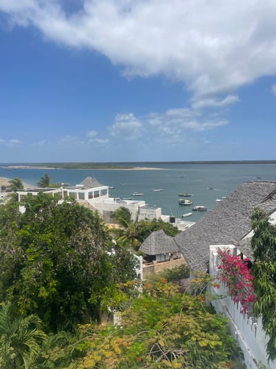 The image depicts an aerial-perspective view of Shella ward, Kenya, showcasing a coastal settlement and a body of water under a partly cloudy blue sky.
The scene is dominated by a wide, calm expanse of blue-green water, likely an ocean bay or channel, extending across the midground to the horizon. A distant, low-lying landmass with sandy shores and dense green vegetation is visible across the water. Numerous boats are present on the water, including several traditional wooden dhows, smaller white recreational or fishing boats, and one distinct yellow-and-green vessel with a canopy, suggesting a passenger or tour boat. Most boats appear to be anchored or moored.
In the foreground and midground, a cluster of white-washed buildings with distinctive architectural styles is interspersed among lush green tropical vegetation. Many roofs are steeply pitched and covered with dark thatch or tiles, while others are flat terraces. Solar panels are visible on some rooftops. Specific architectural features include white walls, some with crenellated tops, and balconies. A vibrant pink bougainvillea plant cascades over a white wall in the lower right foreground. Large, mature green trees and various shrubs occupy the lower left and central foreground, with palm trees also visible. No people are discernible in the frame. The lighting suggests a bright, sunny day.