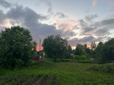 The image depicts a rural landscape in the village of Klyobushnevo, Russia, during sunset. A vast, cloudy sky dominates the upper portion of the frame, with streaks of pink and orange light breaking through the grey clouds, suggesting the sun is low on the horizon. In the foreground, a lush green field extends towards a line of trees and scattered buildings. The field appears to be a mix of grass and some cultivated rows of plants, indicating agricultural activity. A large, dense tree is prominent on the left side of the image, with its branches reaching towards the sky. Behind this tree, a red fence and a green-roofed building are partially visible, suggesting residential structures. Further into the scene, more trees of varying heights and shades of green form a dense backdrop. A small blue house with a white window frame is nestled among the trees on the right side of the frame, alongside other indistinct structures. Telephone poles and wires are also visible, indicating the presence of infrastructure in the area. The overall impression is one of a tranquil evening in a rural setting, characterized by natural elements and modest human habitation.