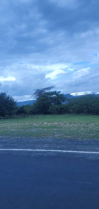 The landscape features a dark road with a white line dividing it from a grassy area. Beyond the grass, trees and shrubbery are visible against a backdrop of distant hills. The sky is filled with textured, cloudy formations in shades of blue and gray. The image is taken with the camera oriented vertically.