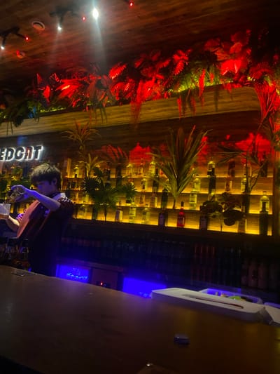 A bar interior features a bartender preparing a drink at the counter. The backdrop includes shelves displaying numerous liquor bottles illuminated with yellow lighting, intertwined with tropical plants and red foliage. Above, a wooden ceiling is dotted with small lights. The counter is lit with blue hues, contrasting with the warmer tones behind it.