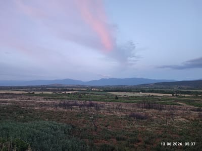 The image shows a wide, panoramic view of a rural landscape at dusk, with a date and time stamp in the bottom right corner indicating "13.06.2026 05:37". The sky is a soft gradient of pale blue and lavender, with a prominent pinkish cloud formation stretching diagonally across the upper portion of the frame. In the middle ground, rolling hills are visible, dotted with patches of greenery, trees, and possibly some agricultural fields. The foreground is dominated by a field of dry, brown grass and scattered shrubbery, with a band of tall, green reeds along the bottom left edge. The overall impression is one of a tranquil, natural setting.