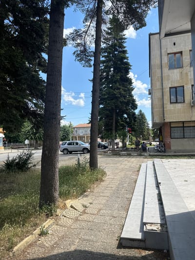 The image depicts a street scene in the city of Ovoshtnik, Bulgaria. In the foreground, a sidewalk is lined with tall evergreen trees. To the right, a building with a light-colored facade and dark windows is visible. A few people are gathered near the entrance of the building, with bicycles nearby. Across the street, there is a road with a silver SUV. The background shows more buildings and trees under a bright blue sky with scattered clouds. The scene appears to be a public area, possibly a town square or a street in a commercial district.