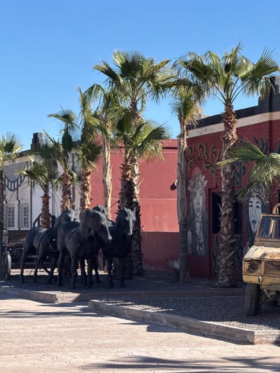 This image depicts a static outdoor scene in Ouarzazate, Morocco, under a clear blue sky. The foreground features a light-colored paved area with a subtle patterned texture, separated by a concrete curb from a dark gravel-covered section. On the left side of the gravel area, a group of at least four dark-colored horse statues, appearing to be harnessed, stand facing right, with a portion of a wooden cart or wagon visible behind the leftmost horse.
Multiple tall palm trees with green fronds and rough brown trunks are distributed throughout the midground, casting shadows. In the background, two primary buildings are visible. The building on the left features a light-colored facade with rectangular windows and a dark, stepped roofline. The building on the right has a red-painted facade adorned with two distinct murals: the left mural depicts a woman's face with a headpiece, rendered in greyscale, while the right mural shows a stylized or masked face in similar tones. Black window or door frames are integrated into this red building. On the far right, partially obscured by a palm tree and in front of the red building, is the front section of a weathered, yellowish-tan vehicle, resembling a vintage off-road vehicle or jeep, with a visible headlight and tire. No people are present.