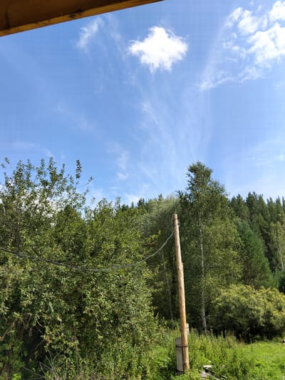 The image depicts an outdoor scene with a bright blue sky and scattered white clouds. The foreground features lush green foliage from trees and bushes. A wooden pole with concrete base and some wires are visible in the middle ground, likely a utility pole. Behind the foliage, a dense forest of trees stretches across the horizon. The overall impression is a rural or natural setting, possibly on the outskirts of a settlement. It is not possible to determine the exact location within Novoozornyy, Russia, from the visual information provided.