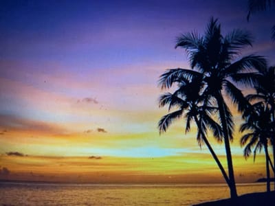 The image displays a tropical sunset scene with silhouetted palm trees against a vibrant sky. The sky transitions from deep purple at the top to shades of pink, orange, and yellow near the horizon, with faint clouds scattered throughout. The ocean is visible in the foreground, reflecting the warm colors of the sunset. The scene is tranquil and serene, evoking a sense of peace and relaxation. There is no indication of people, urban elements, or any specific landmarks that would associate it with the city of Жданов ауылдық округі, Kazakhstan. The image appears to be a generic depiction of a tropical beach at sunset.