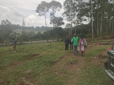The scene depicts a group of people in an open, grassy area in Moticho ward, Kenya. Trees, including a stand of tall, thin-trunked trees, line the background. Some tree stumps and branches lie on the ground, suggesting recent logging activity. In the foreground, a black SUV is partially visible on the right. Six people are discernible: one man stands alone on the left wearing a patterned shirt and khaki pants; a group of three men are positioned near the center of the frame wearing dark-colored suits; and a man wearing a green shirt and light-colored pants standing next to a woman in a patterned dress and gray overcoat. The woman is holding a white paper bag. The terrain in the background appears to be hilly. The sky is overcast.