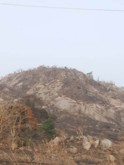 The image displays a rocky hill under an overcast, light grey sky in Jibilik, Nigeria. A thin, dark horizontal wire is present in the upper sky. The hill's topography consists of large, exposed light-colored rock formations intermingled with darker patches of earth, suggesting sparse, dry vegetation and areas of recent burning. Numerous trees and shrubs, predominantly bare or with minimal brown-orange foliage, are scattered across the hillside and atop the summit. The foreground features dry, light brown grasses, scattered rocks, and distinct dark, scorched ground patches. On the left foreground, a tree with mostly bare branches displays some remaining orange-brown leaves, positioned next to a smaller tree with green foliage. No human or animal subjects are discernible within the frame.
