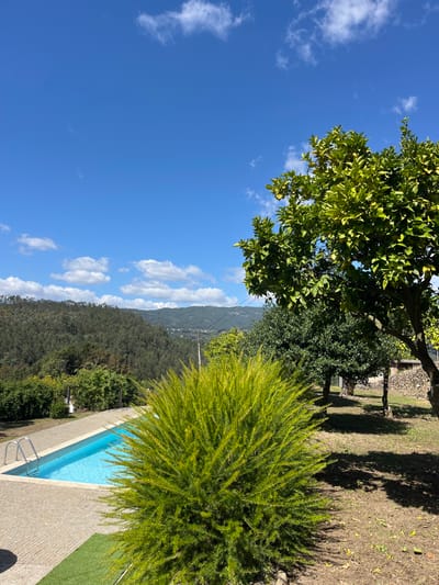 The image depicts an outdoor scene in Oliveira de Frades, Portugal, under a clear blue sky with scattered white cumulus clouds. A rectangular swimming pool, filled with light blue water, is positioned on the left-midground, surrounded by grey paver stones. A two-step stainless steel ladder extends into the pool from its shallow end. In the immediate foreground, a dense, bright green bush with fine, needle-like foliage occupies the lower center. To the right of the bush, a dry earth patch is visible with several distinct shadows cast by trees. In the midground, a large, leafy tree with lighter green foliage stands on the far right, partially cropped, with other smaller green trees behind the prominent bush. The background features rolling hills densely covered in dark green forest, extending to distant, hazy mountain ranges. A power line is faintly visible traversing the mid-distance above the treeline. No people or animals are present.